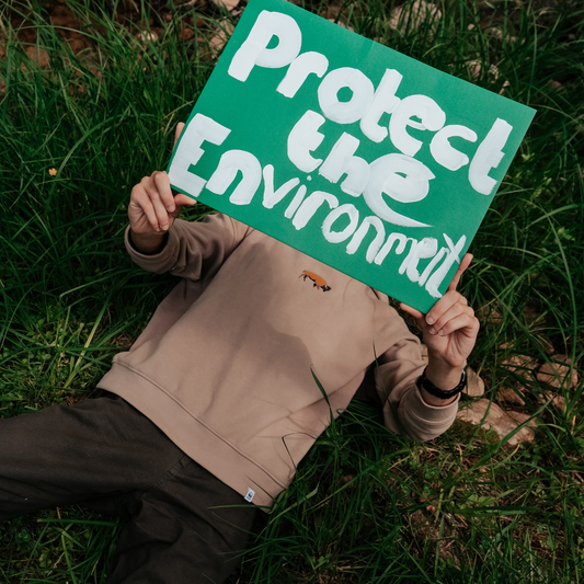 protect the environment image